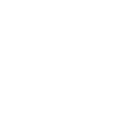Waddah AI logo